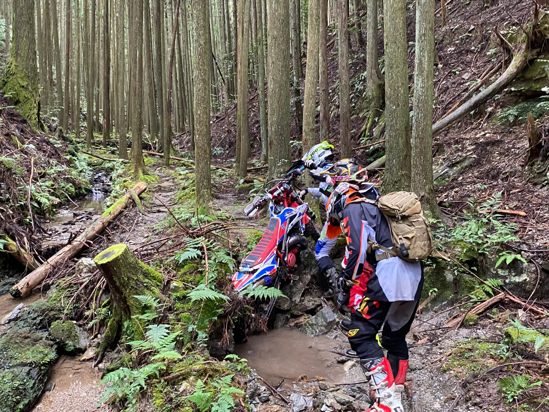 【静岡】週末の林道アドベンチャー！